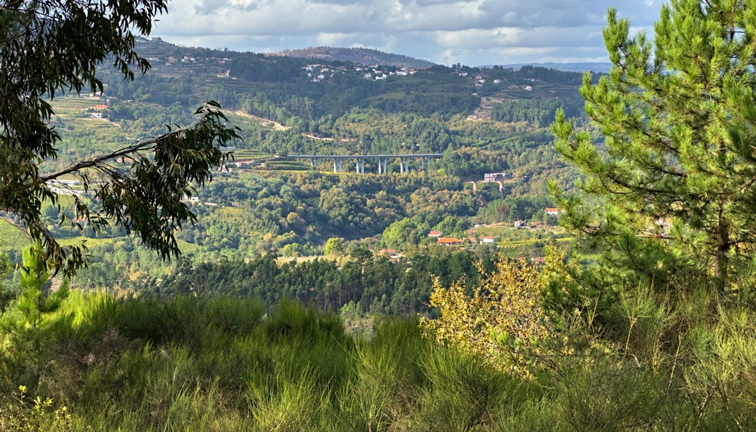 Кинта с виноградником и двумя домами · Marco de Canaveses · Douro · Фото 1